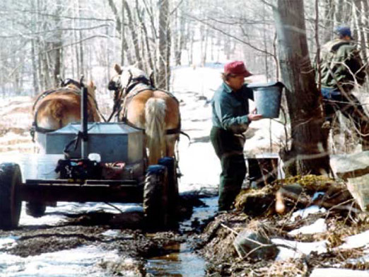 Photo of classic sugaring