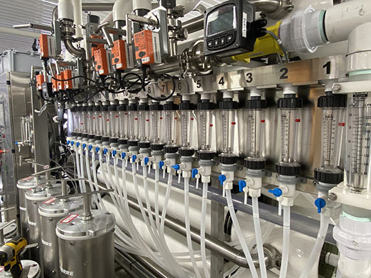 Photo of osmosis