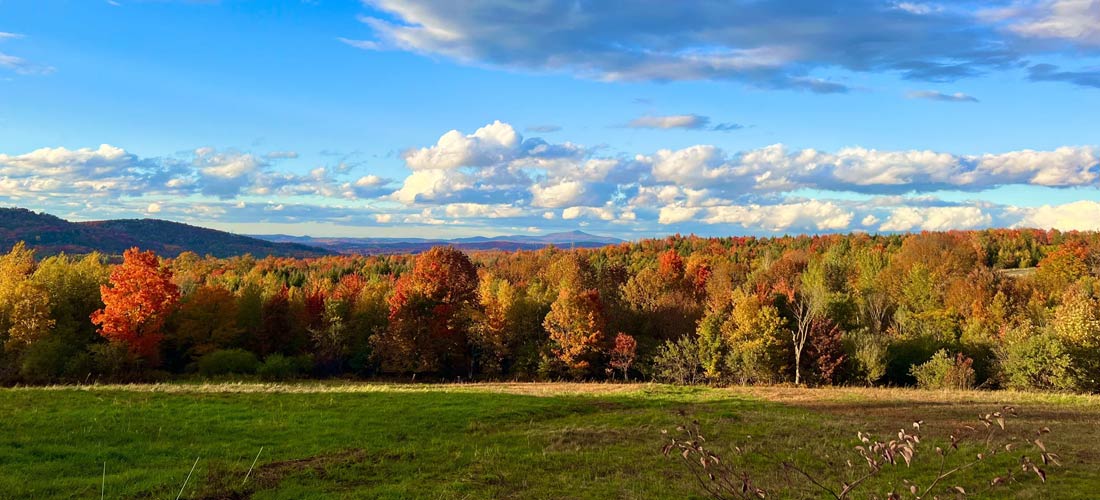 A beautiful autumnal photo of the Branon Family property